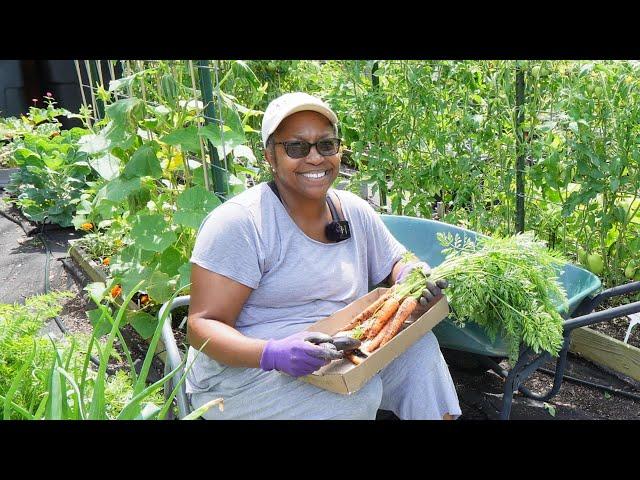 Garden Maintenance & Succession Planting