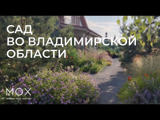 МОХ: сад во Владимирской области