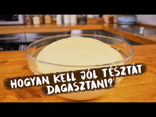 TÉSZTADAGASZTÁS lépésről lépésre ‍‍