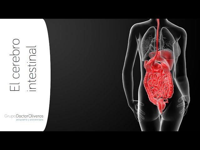 El cerebro intestinal: psicogastroenterología. Dr. Sergio Oliveros Calvo, Psiquiatra. Madrid