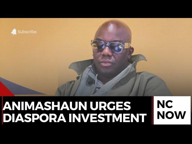 Ayo Animashaun Calls for Diaspora Investment in Nigerian Music and Infrastructure