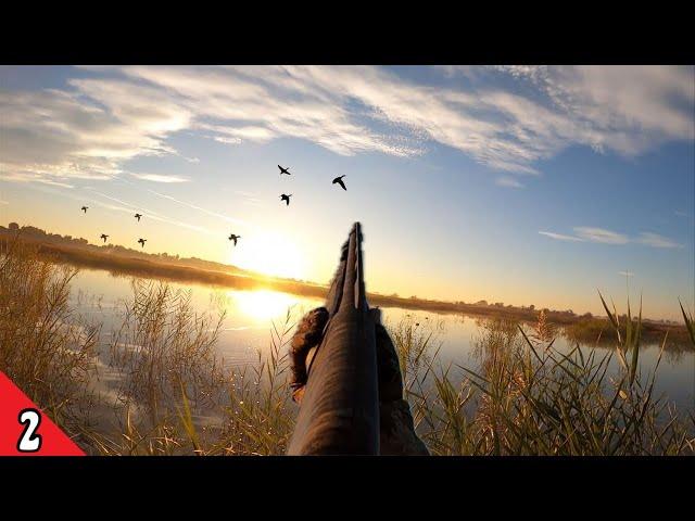 DUCK HUNTING a Flooded Marsh for Big DUCKS | UNEXPECTED Bird!