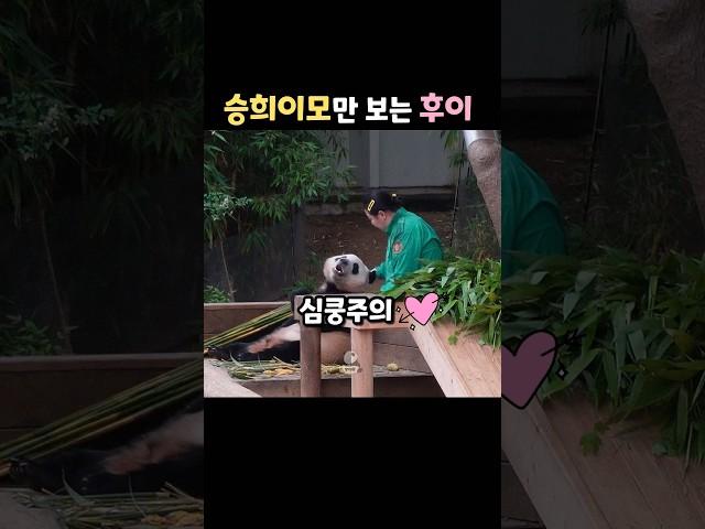 후이의 세상엔 이모만 보여🩷