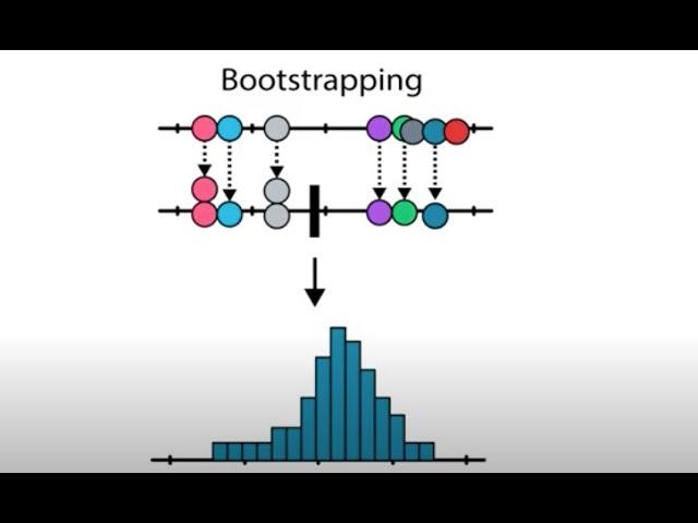 Bootstrapping vs Traditional Statistics