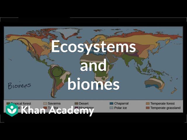 Ecosystems and biomes | Ecology and natural systems | High school biology | Khan Academy