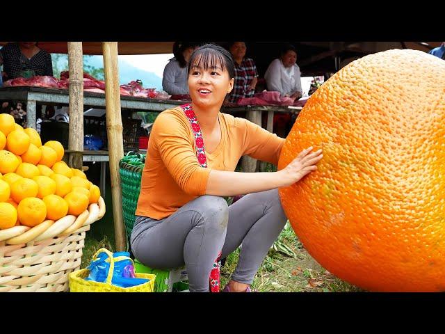 Harvesting Tangerine Goes to Market sell - Growing pumpkins | New Free Bushcraft