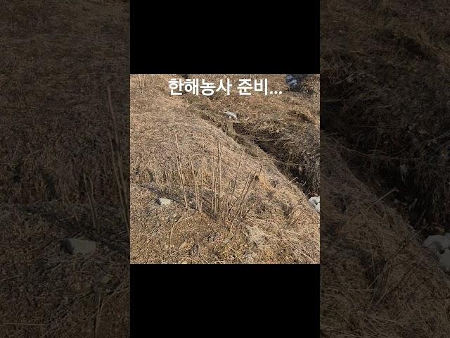 양평 농막 텃밭농사 -농사준비합니다