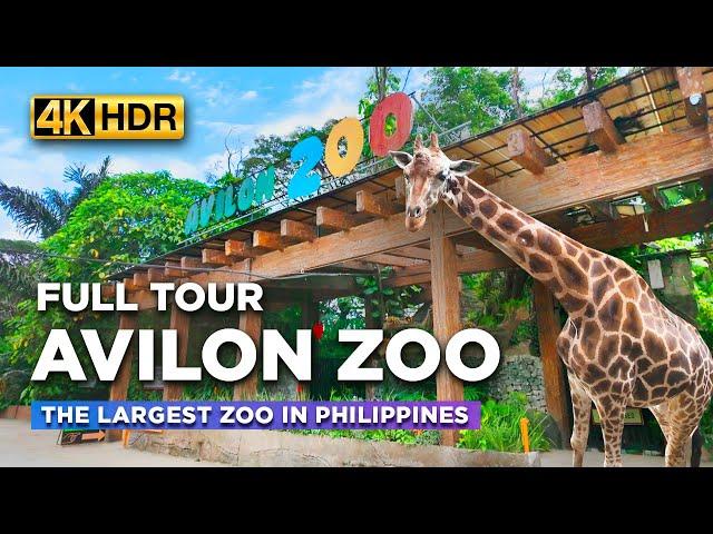 AVILON ZOO Full Tour | WHAT TO SEE Inside the Largest ZOO in the Philippines?【4K HDR】