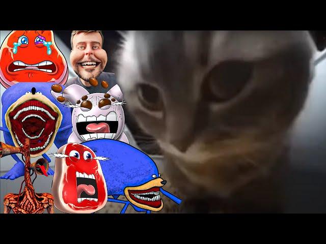 9 MIN. SUPER MEGAMIX CHIPI CHIPI CHAPA CHAPA (PART 11)