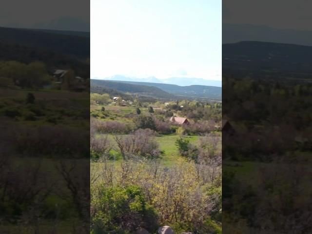 Incredible Mountain Home on Acreage For Sale in Western Colorado