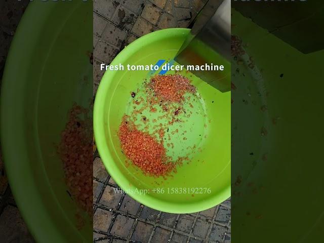 Fresh tomato dicer machine for restaurant use
