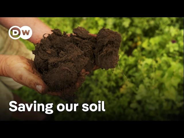 How farmers are protecting the soil and our food security | DW Documentary