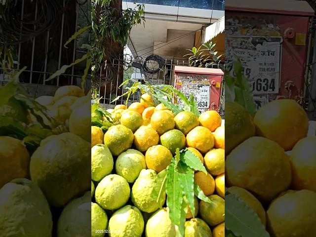 #shorts #myinformationnpl  #fruits