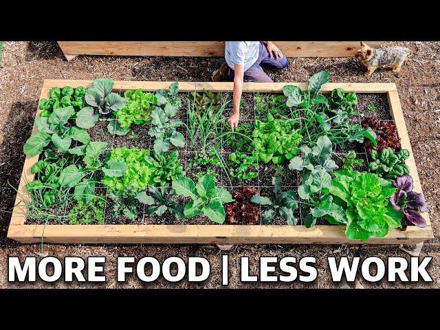 Using SQUARE FOOT Gardening Easily DOUBLED the Harvests