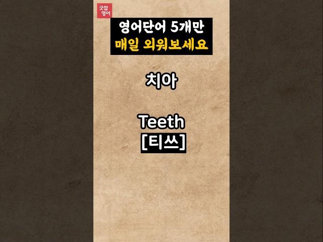 기초영어단어 쉽게 외워요/30초영어듣기
