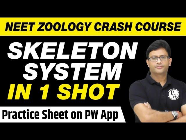 Skeleton System in 1 Shot - All Theory, Tricks & PYQs Covered | Class 11 | NEET