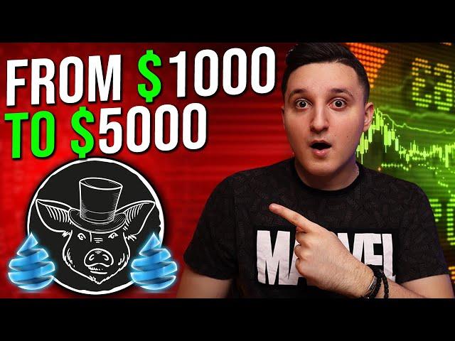 Drip Garden Tutorial ! From $1000 to $5000 ! Animal Farm Strategy ! Crypto Passive Income !