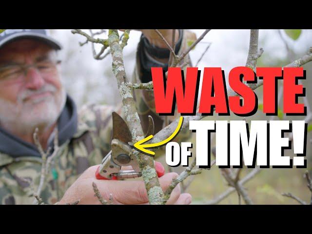 STOP wasting your TIME growing FRUIT TREES, Do THIS instead!