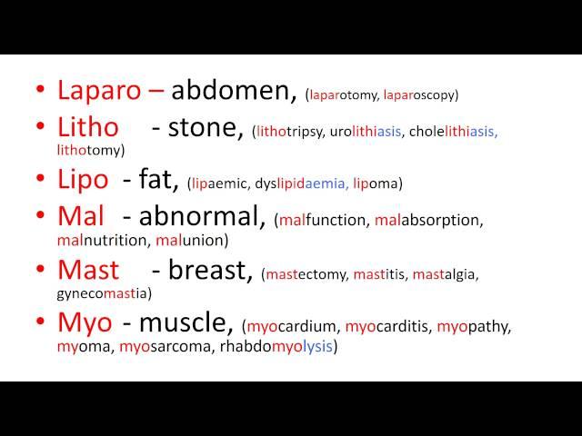 Medical terms 3, Prefixes part 2