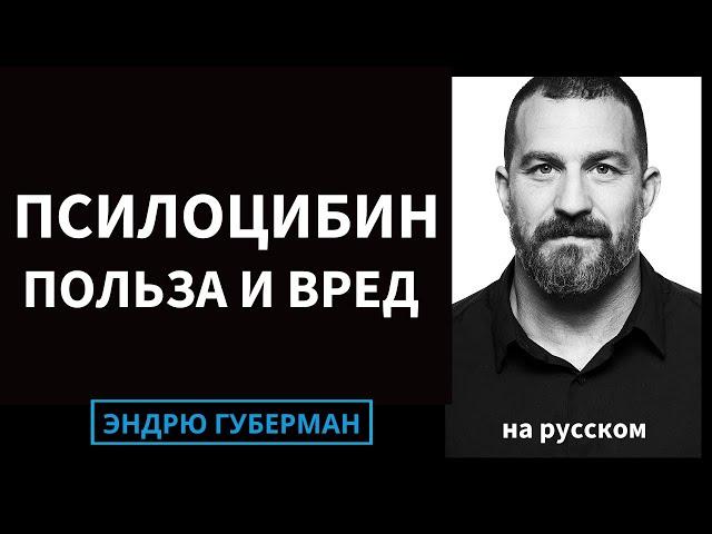 Как псилоцибин может перестроить наш мозг, его терапевтические преимущества и риски | на русском