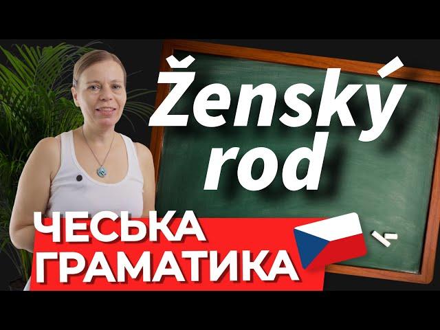 Іменники жіночого роду множини в чеській мові. Чеська граматика.