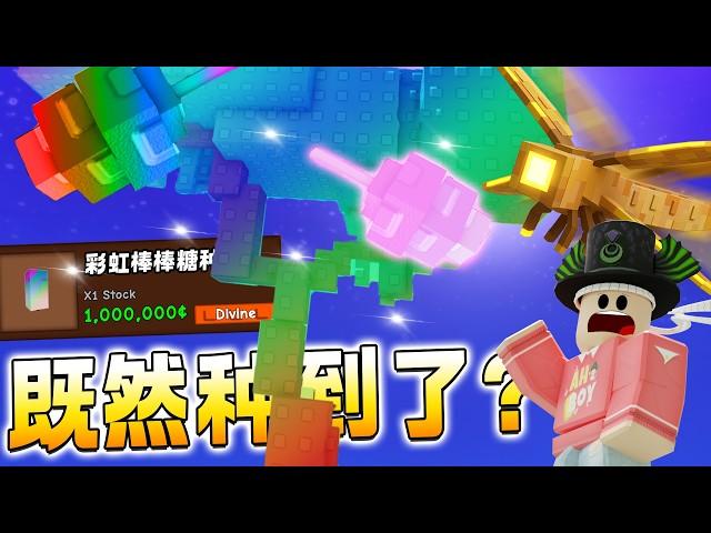 ROBLOX Grow a Garden  超级种子既然种出了Super Seed! 彩虹棒棒糖植物！黄金蜻蜓超强！Rainbow Candy Blossom!