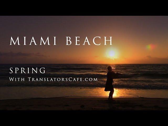 Miami Beach Spring with TranslatorsCafe.com