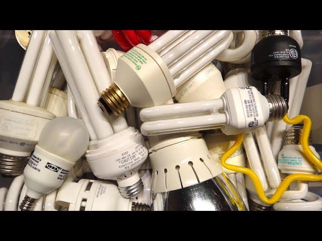 Compact Fluorescent Light Bulbs Box-o-Bulbs (Box 1)