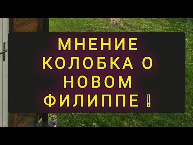 МНЕНИЕ  КОЛОБКА О  ФИЛИПЕ  КИРКОРОВЕ !