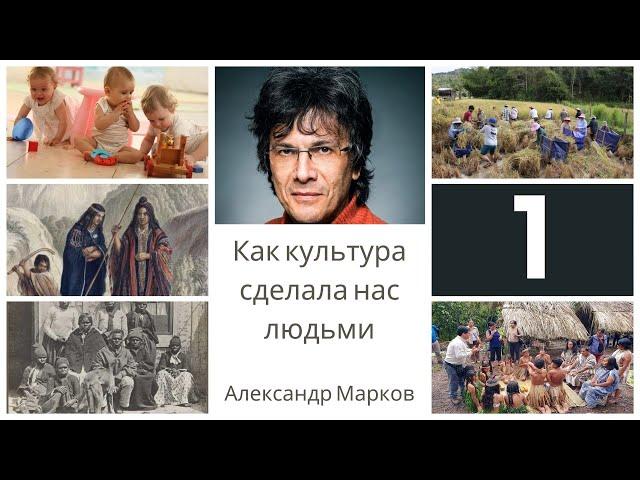 Как культура сделала нас людьми  Часть первая