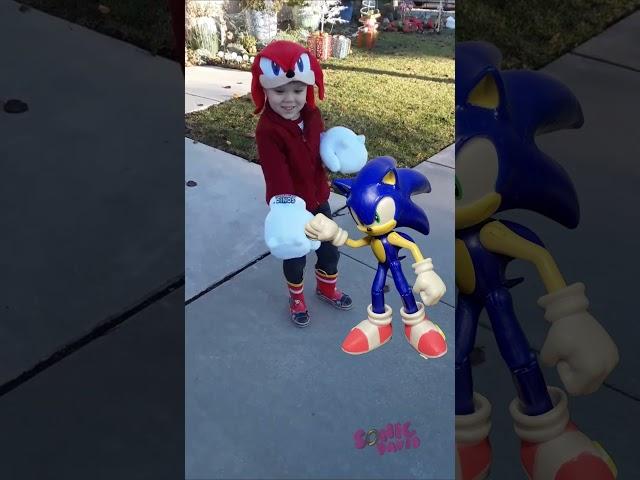 sonic destroys knuckles