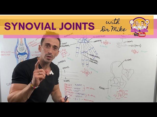 Synovial Joints