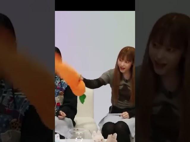 무해한 해린포터