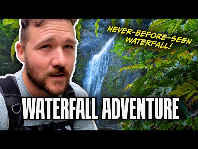 Waterfall Hike And Vlog | New Zealand Wilderness