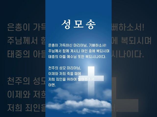 성모송 천주의 성모마리아님 #기도 #prayer #성모송 #매일기도 #아침기도 #저녁기도 #하루기도 #아침명상 #주기도문 #1분기도 #묵상 #명상 #좋은글
