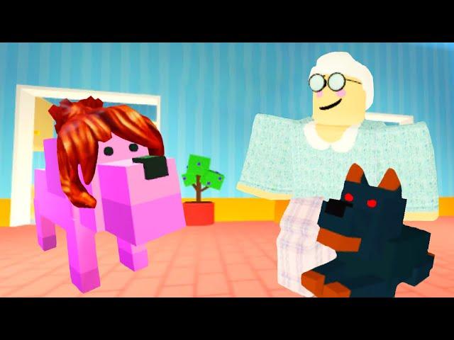 Roblox pet story...