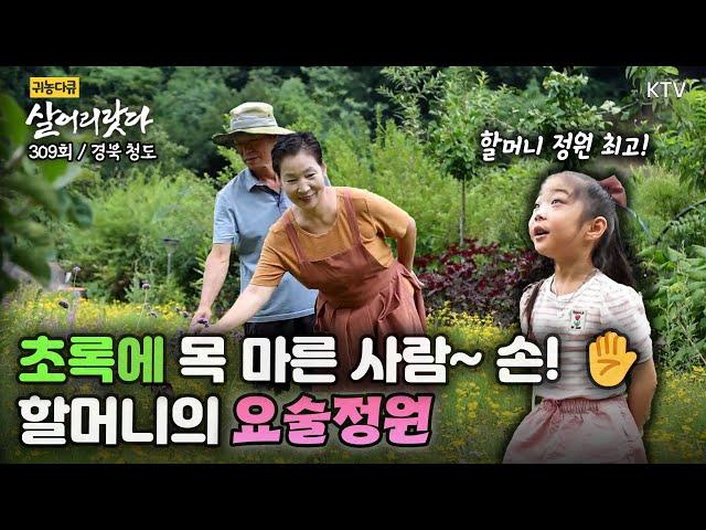 (살어리랏다)(309회) 사랑과 웃음이 넘치는 할머니의 요술정원 Koreatv, garden, ceramics, grandma, pension (경북 청도)