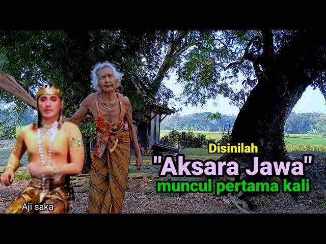 Lokasi muncul pertama kali Aksara Jawa petualangan Aji Saka (Soko)cerita Rakyat Grobogan Jawa Tengah