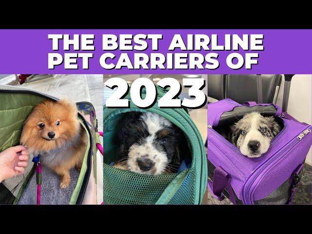 DON'T STRESS about what pet carrier to use for your next flight. Use THESE top TSA approved options