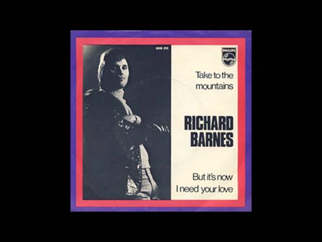 Richard Barnes "High Flying Electric Bird" 1970