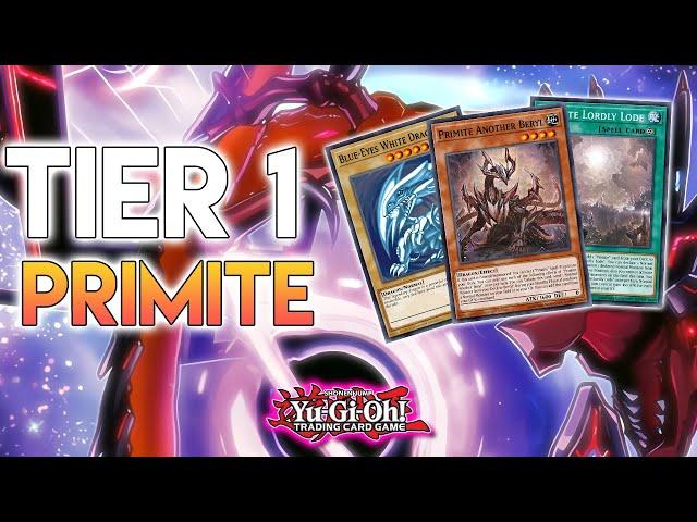 I Just Created The BEST Dragon Deck In Yu-Gi-Oh! Primite Tachyon Bystial!