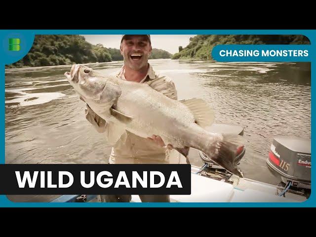 Africa’s Biggest Fish Caught on Film - Chasing Monsters