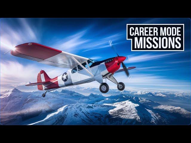 Career Cargo Transporting Company MSFS 2024