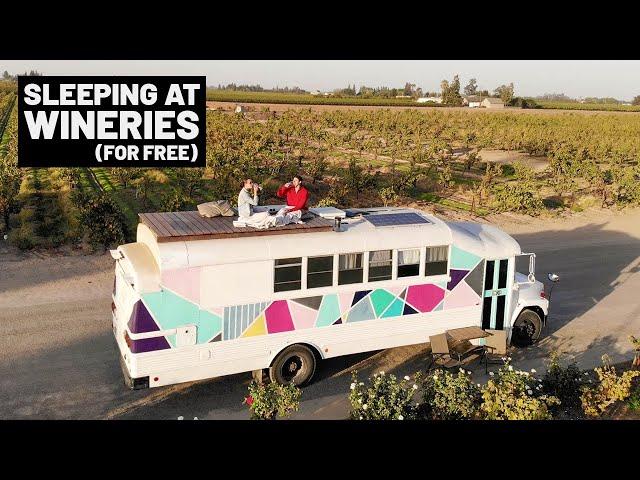 LIVING IN A BUS IN CALIFORNIA | A week in our lives