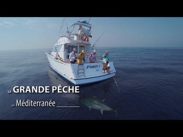 LA GRANDE PÊCHE EN MÉDITERRANÉE