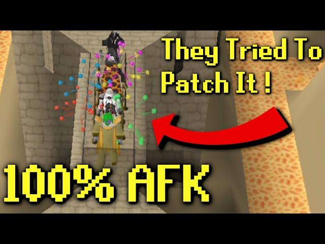 Jagex Tried To Patch AFK Agility... But They Failed...