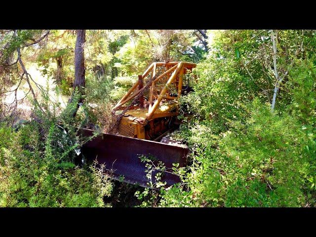 Cat D2 Bulldozer broke down in a forest 13 years ago. Can we save it?