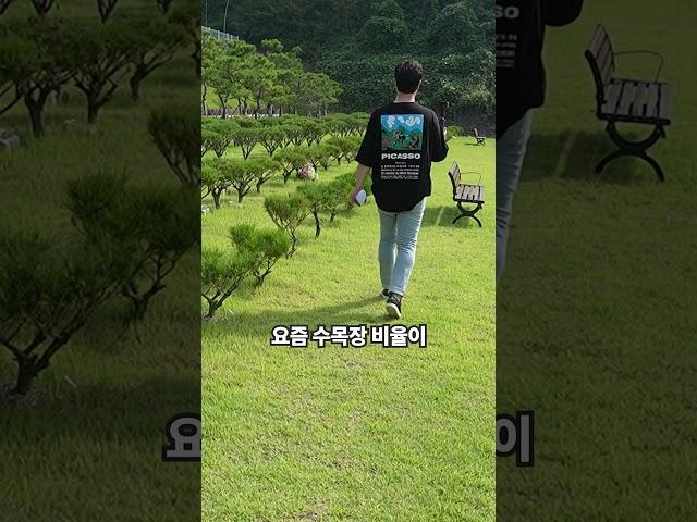 납골당에 모신 후 가장 후회하는 것