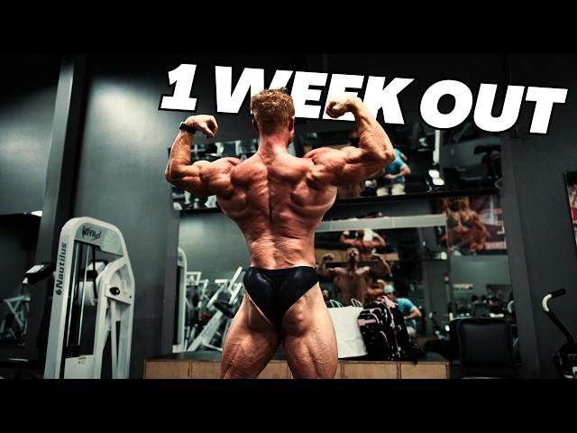 Back day with IFBB Pro John Jewett (he's my coach) TTIN Ep.13