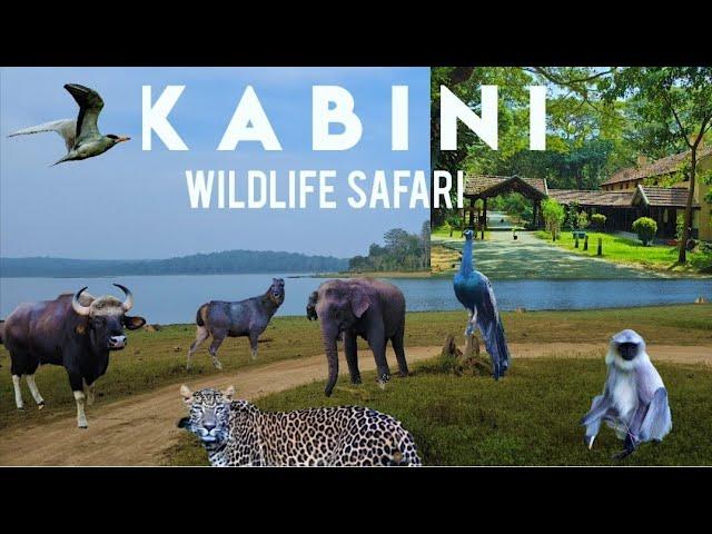 Kabini River Lodge - JLR | Maharaja Cottage stay | Kabini Wildlife Safari | Nagarhole Tiger Reserve